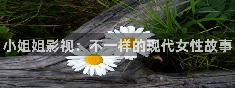 泡泡电影网最新电影：小姐姐影视：不一样的现代女性故事