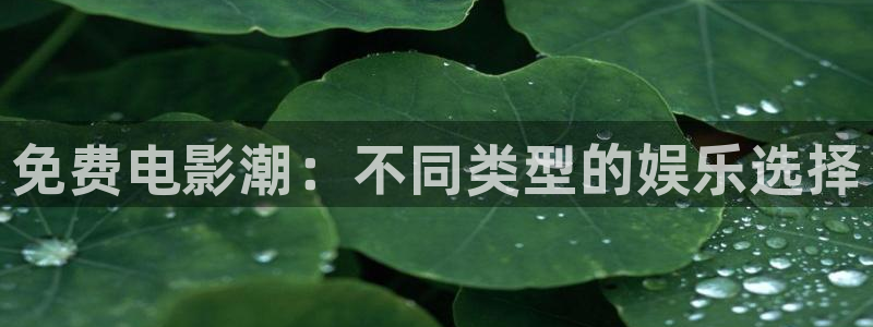 泡泡影院在线观看：免费电影潮：不同类型的娱乐选择