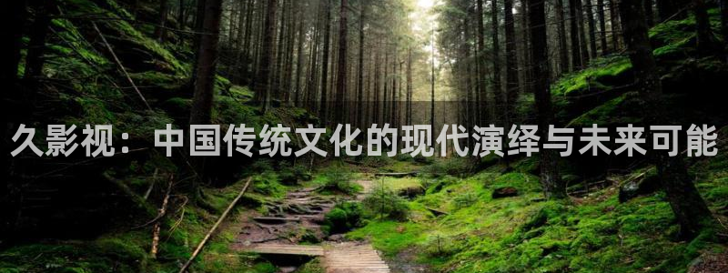 泡泡影院免费观看：久影视：中国传统文化的现代演绎与未来可能