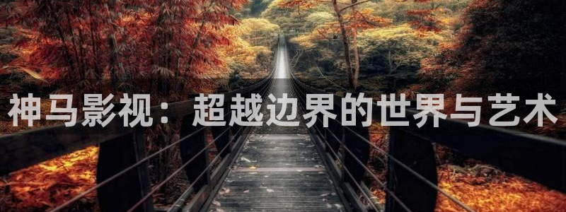 猪泡泡影视大全：神马影视：超越边界的世界与艺术