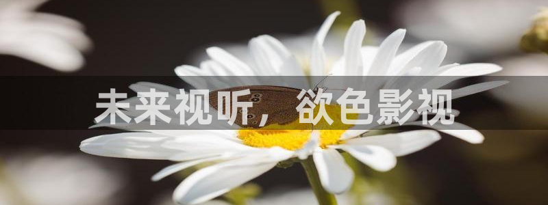 手机泡泡影视：未来视听，欲色影视