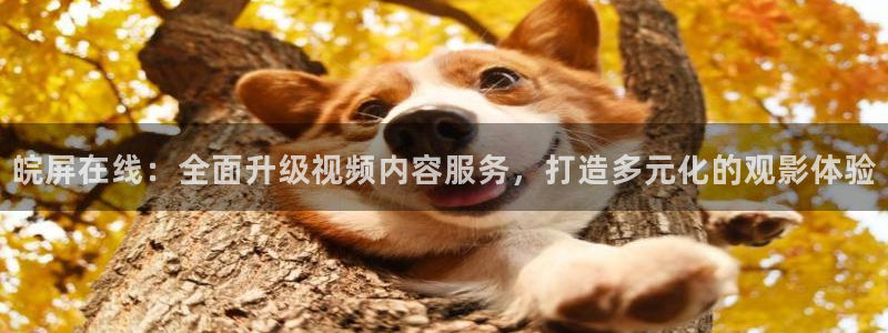 泡泡影视手机电影网在线观看：皖屏在线：全面升级视频内容服务，打造多元化的观影体验