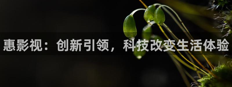 泡泡影视在线播放：惠影视：创新引领，科技改变生活体验