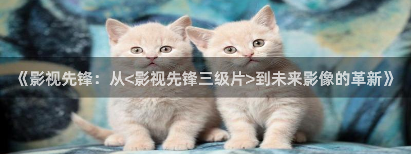泡泡影视院：《影视先锋：从<影视先锋三级片>到未来影像的革新》