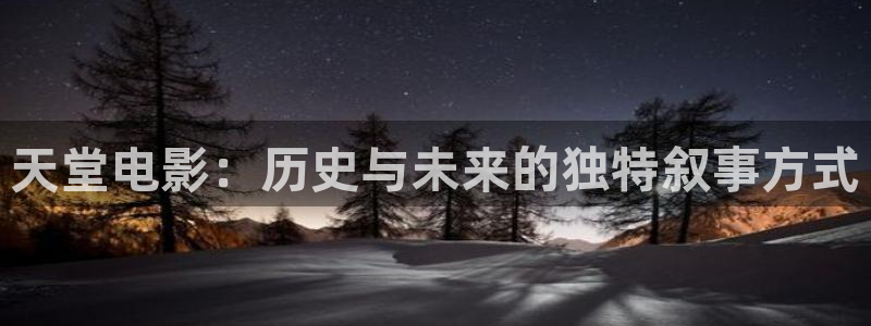 泡泡酒店：天堂电影：历史与未来的独特叙事方式